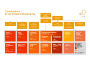 organigramme au 1er juillet 2023